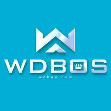 WDBOS - Petualangan Seru di Dunia ARPG